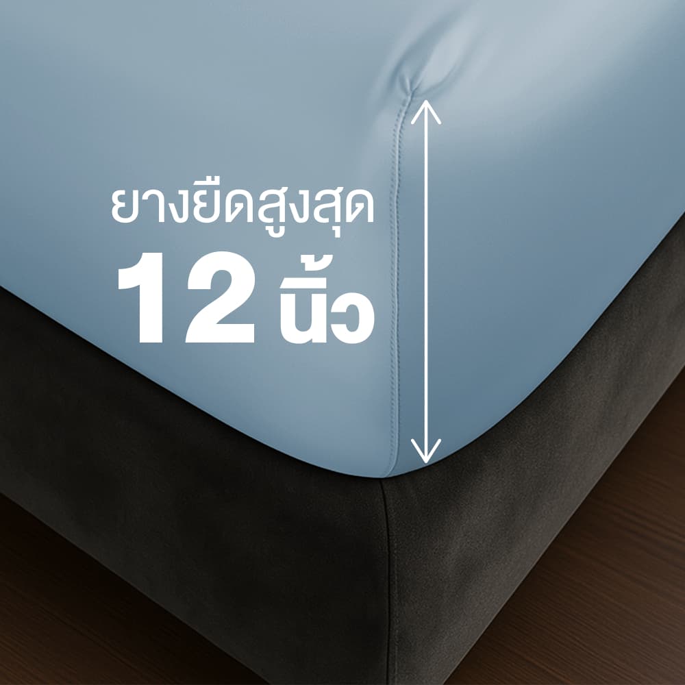 ibed ผ้าปูที่นอน 1 ชิ้น ผ้านุ่มลื่น ป้องกันไรฝุ่น กันขนสัตว์ รุ่น Adaptive Cool Silk รูปที่ 5