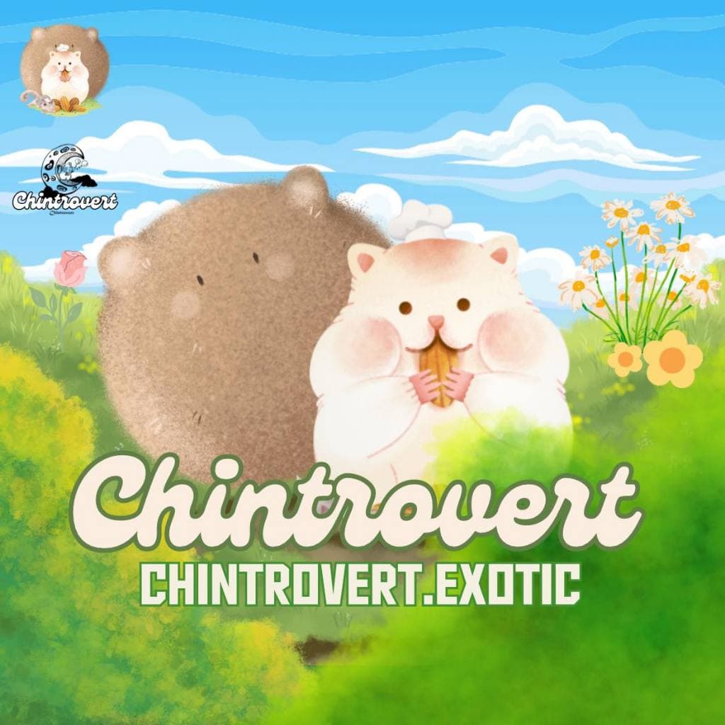 Chintrovert| ไซริ้งค์ ป้อนนม ยา ผงซุป กระชับมิตร 1-3 ML | ใช้ได้กับสัตว์ฟันแทะทุกชนิด รูปที่ 3