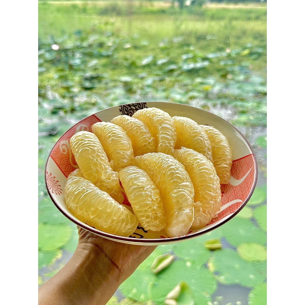 ส้มโอขาวใหญ่ตัดสดใหม่จากสวน PPY หวานฉ่ำ ชื่นใจ รับประกันคุณภาพ รูปที่ 2