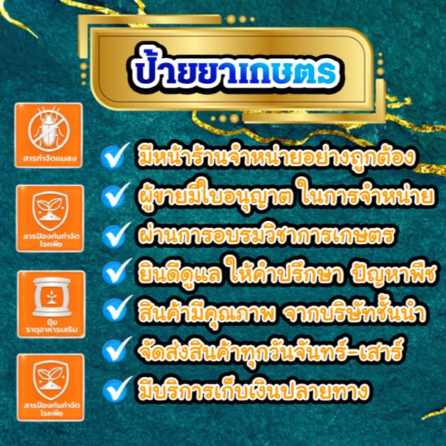 ถั่วฝักยาว ลำน้ำชีพลัส เมล็ดถั่วฝักยาว บรรจุ 100กรัม 500กรัม ตราศรแดง รูปที่ 7
