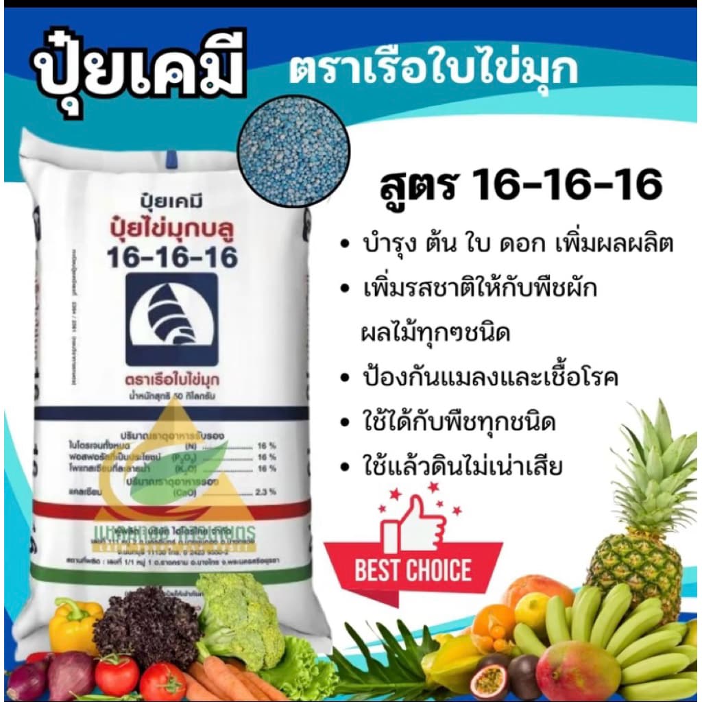 ปุ๋ย ตราเรือใบ 16-16-16 สีเขียว เร่ง ดอก ผล ต้น ใบ รูปที่ 3