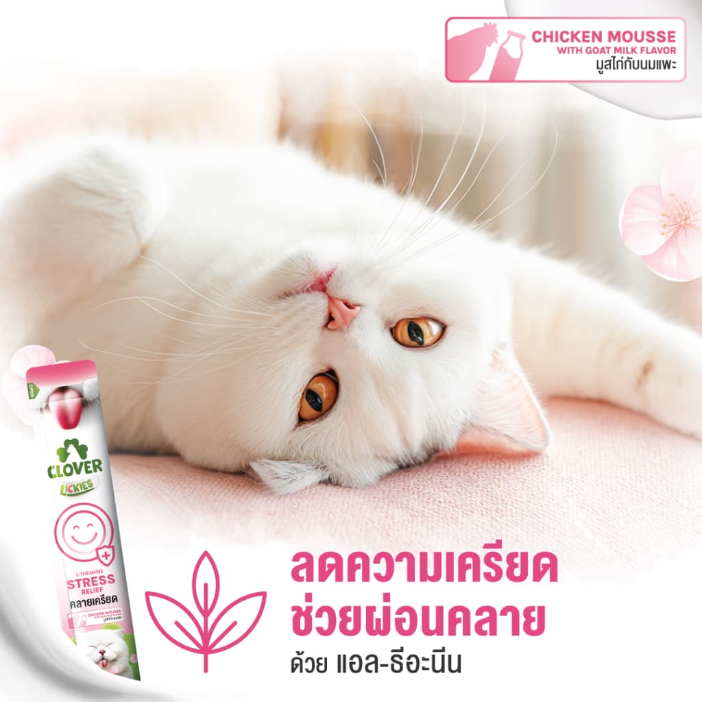 Clover Lickies วิตามินแมวเลีย เสริมสุขภาพแมว รูปที่ 2