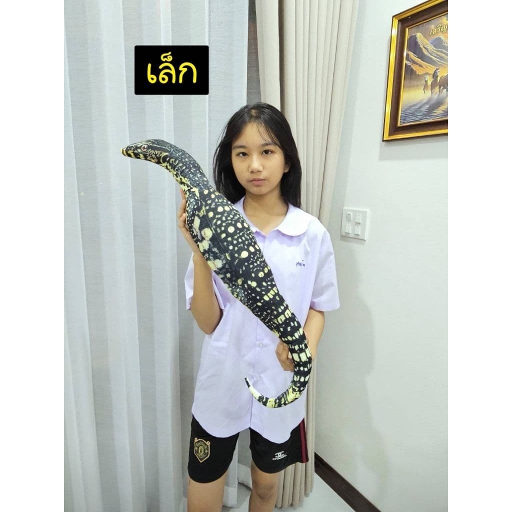 หมอนตัวเหี้ย หมอนตัวเงินตัวทอง รูปที่ 7