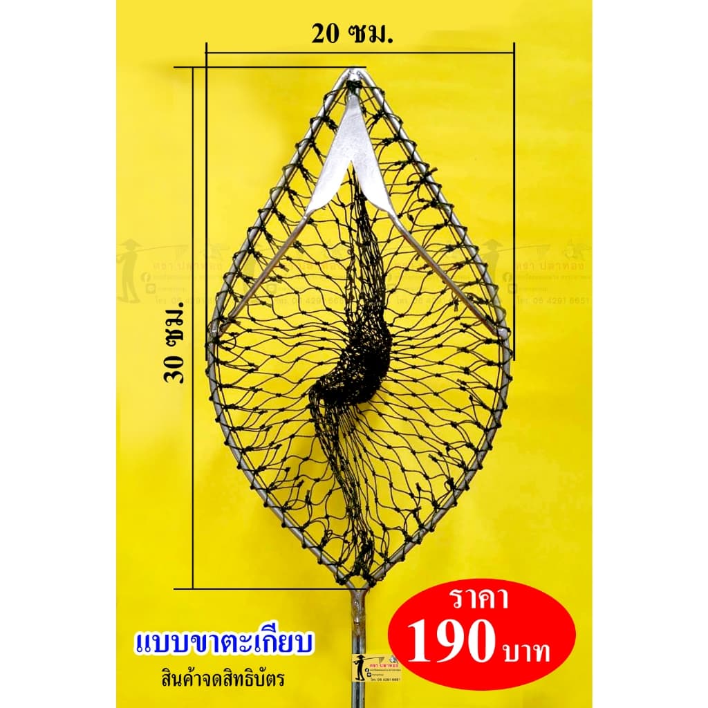 ตะกร้อสอยมะม่วง อะโวคาโด ผลไม้ ตราปลาทอง รูปที่ 2