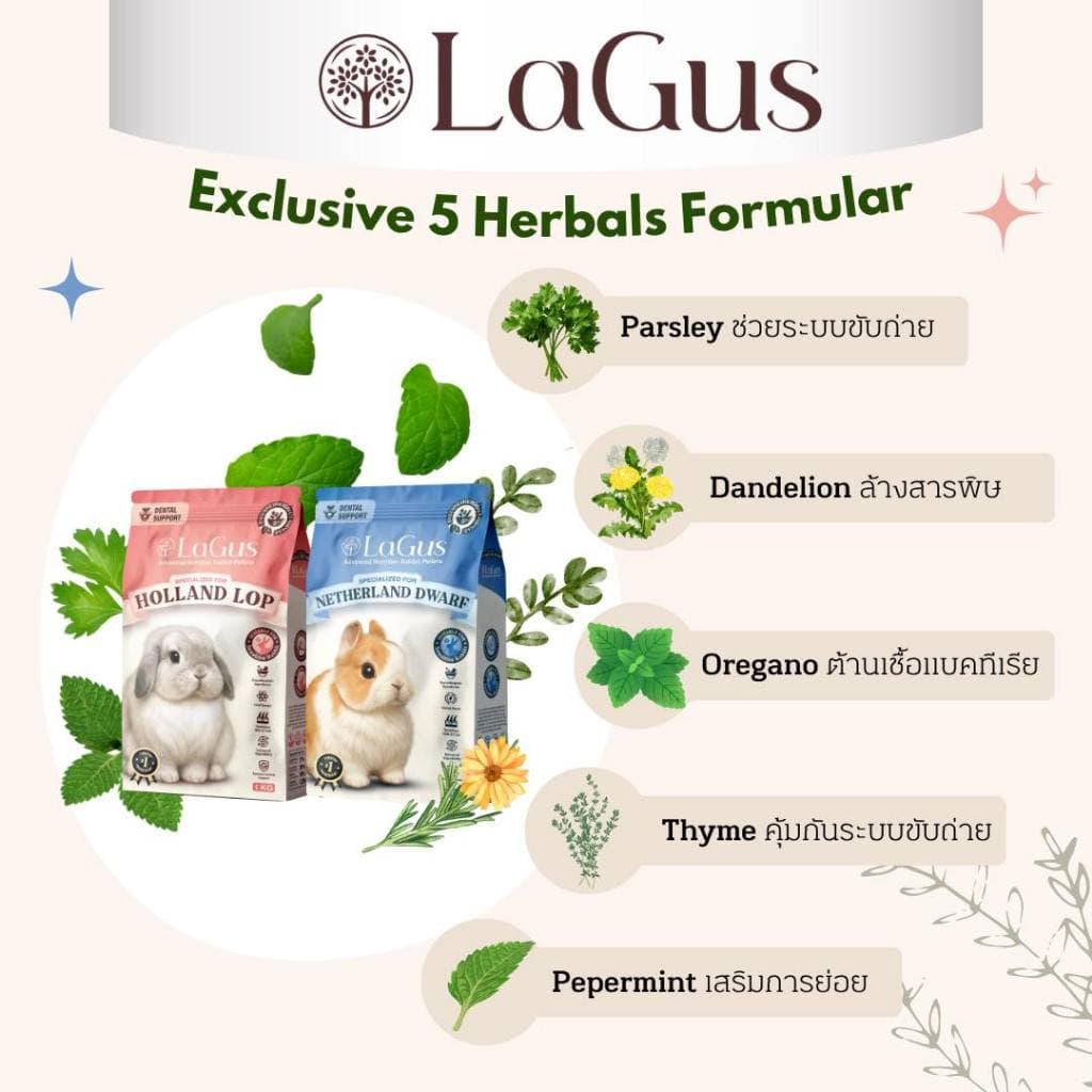 Lagus - อาหารเม็ดสำหรับกระต่าย 1kg รูปที่ 2