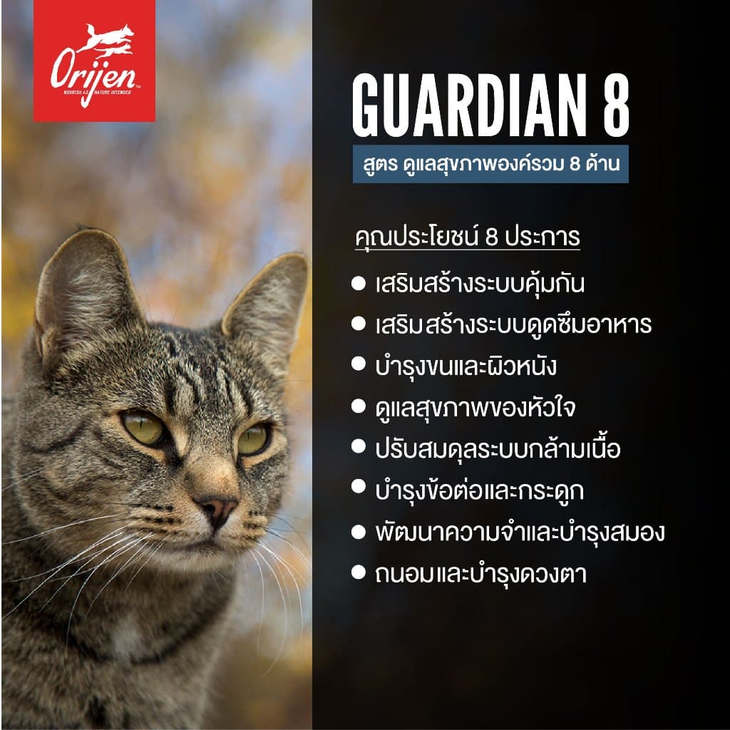 ORIJEN Guardian8 340 กรัม โอริเจน การ์เดียน เอท สำหรับแมวโตทุกสายพันธุ์ รูปที่ 2