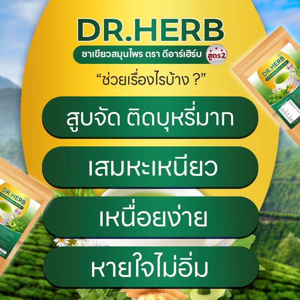 ชาเลิกสูบ หญ้าดอกขาว ชาปอด สูตร 2 ชาเขียว ลดความอยาก บำรุงปอด Dr.Herb ชาปีดอด 3 ห่อ 30 ซองชา รูปที่ 7