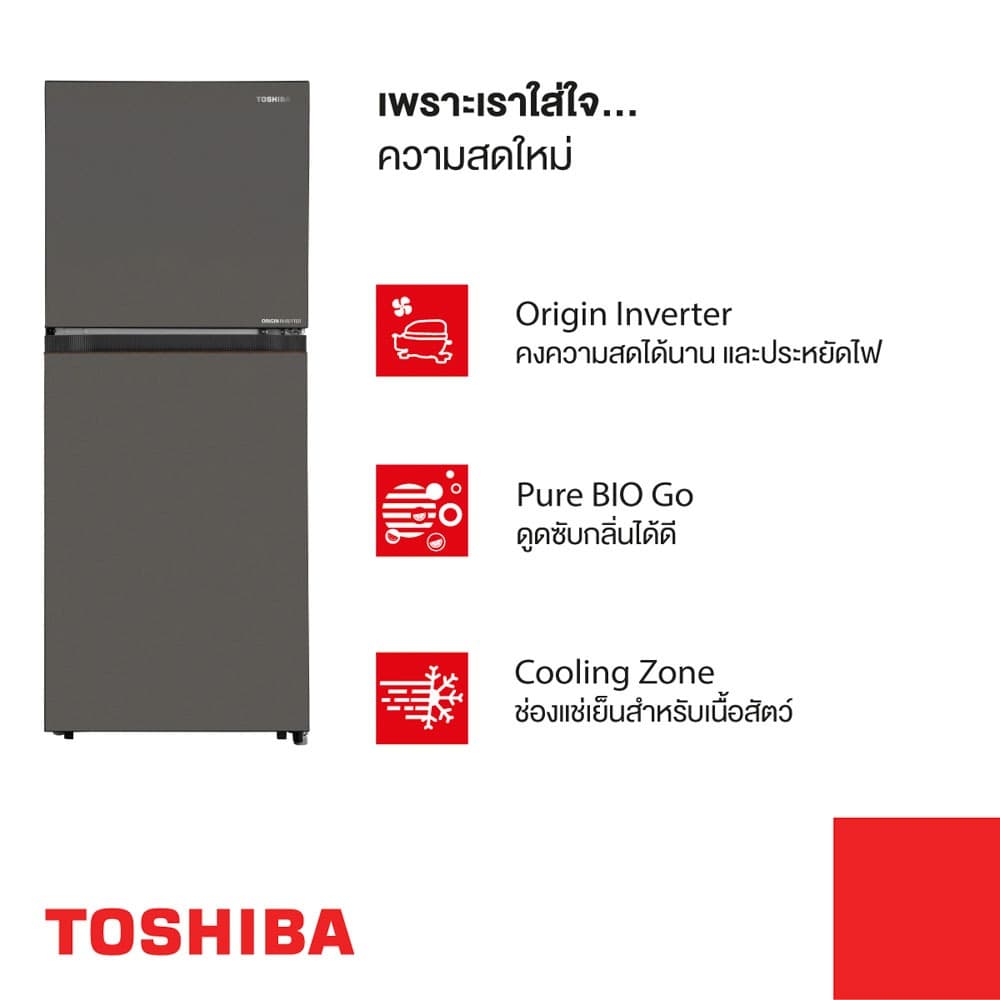 โตชิบา ตู้เย็น 2 ประตู ขนาด 7.3 คิว รุ่น GR-RT268WE-PMTH TOSHIBA 2-DOOR REFRIGERATOR SIZE 7.3 Q MODEL GR-RT268WE-PMTH รูปที่ 5