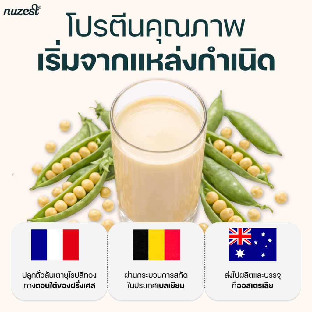 โปรตีนพืช Plant protein Nuzest โปรตีนคุณหนูดี จากถั่วลันเตา ช่วยลดน้ำหนัก ผู้สูงอายุ คนท้อง เพิ่มกล้ามเนื้อ ชงดื่ม STRW รูปที่ 3