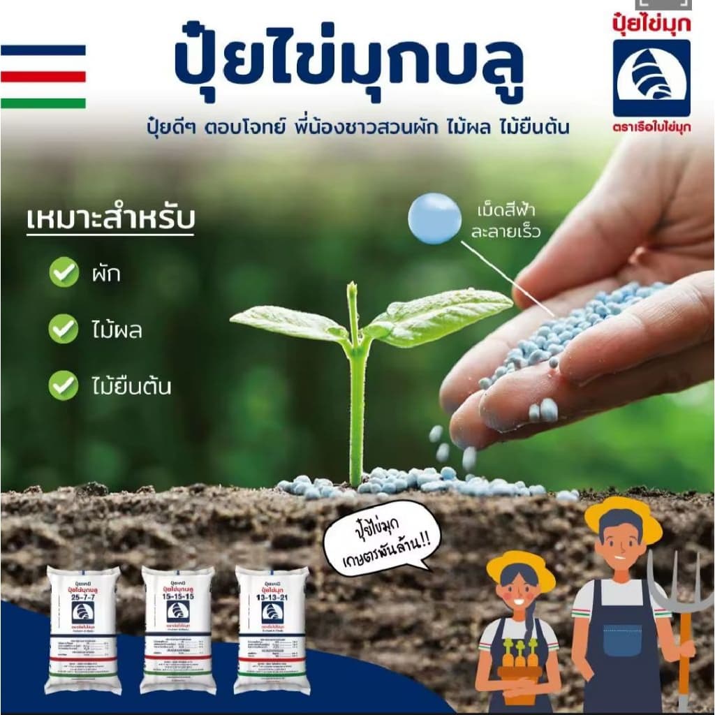 ปุ๋ยสูตร8-24-24/เรือใบไข่มุกบลู 1กิโลกรัม เร่งดอก ขยายผล เพิ่มรสชาติ รูปที่ 3