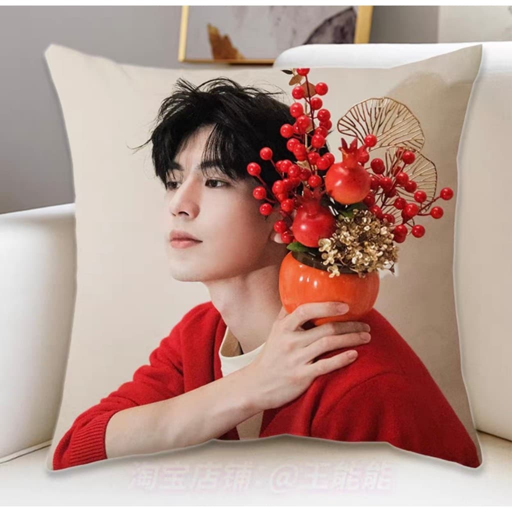 Pre Order หมอน จางหลิงเฮ่อ ล่าหยก​ หมอน+ปลอกรอของ25-30วันค่ะ รูปที่ 3