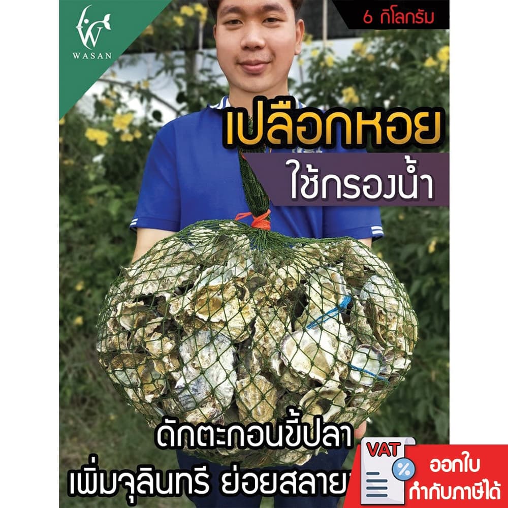 เปลือกหอยนางรม 6 kg.ใส่ถุงตาข่ายอวนเขียว พร้อมใช้งาน BY วสันต์อุปกรณ์ปลาสวยงาม รูปที่ 1