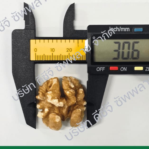 วอลนัทดิบ แบบเต็มเม็ด วอนัท Raw Walnuts Kernel Whole วอลนัทแกะเปลือก วอลนัทเนื้อล้วน รูปที่ 6