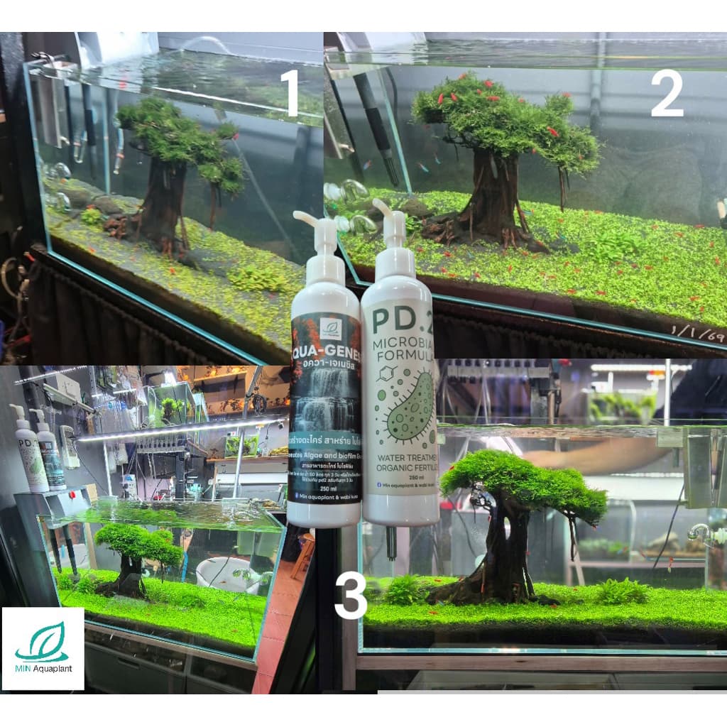 Aqua Genesis + PD2 เร่งสร้างตะไคร่ สาหร่ายไบโอฟิล์ม รักษาสมดุลย์ของระบบน้ำ ชุด 2 ขวด สำหรับระบบน้ำที่สมบูรณ์แบบ รูปที่ 7
