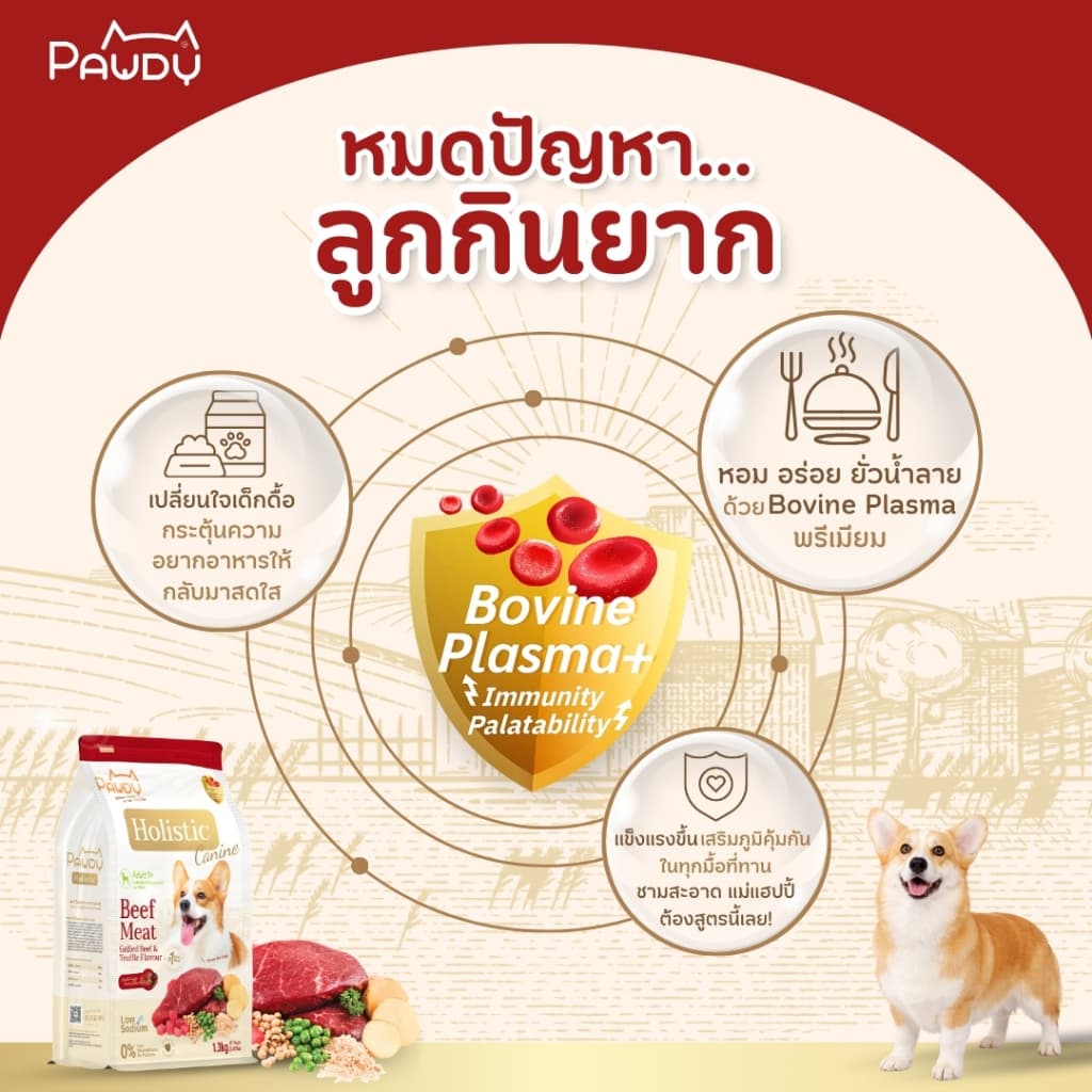 Pawdy อาหารสุนัขเกรดพรีเมียม Holistic สำหรับสุนัขโต อายุ 1-6 ปี สูตรเนื้อวัวย่างและเห็ดทรัฟเฟิล ขนาด 2.5 กก. รูปที่ 3