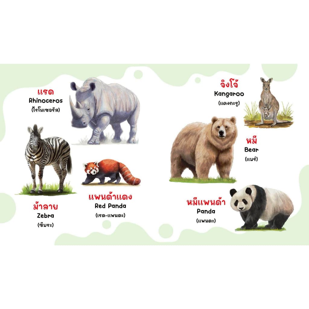หนังสือคำศัพท์ สัตว์โลกน่ารู้ สัตว์ทะเล ผลไม้ ผัก หนังสือ 2 ภาษา หนังสือเด็ก รูปที่ 3