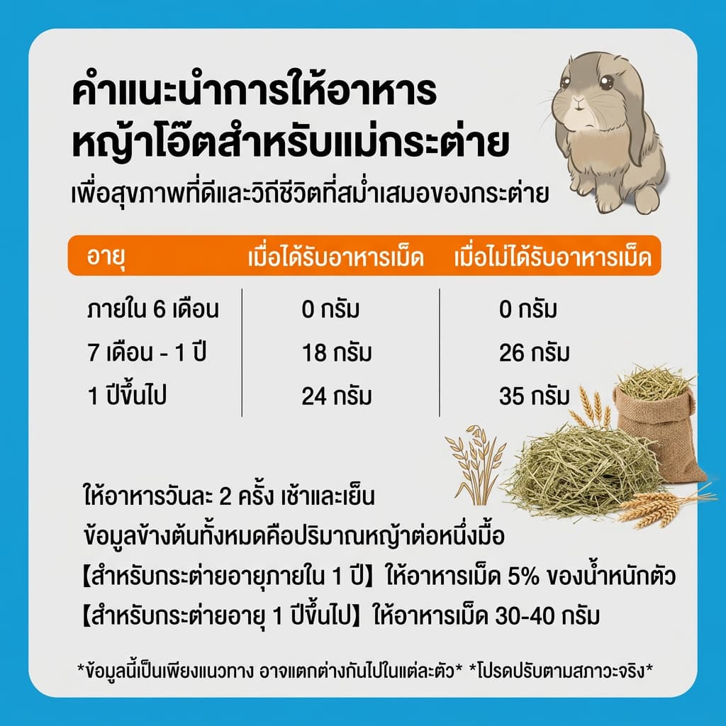 หญ้าโอ้ตอบลมร้อน Oat Hay 250g คัดเกรดพรีเมี่ยม หอมเขียวนุ่มแสนอร่อยมีวิตามินเอสูง อาหารสัตว์เล็ก รูปที่ 6
