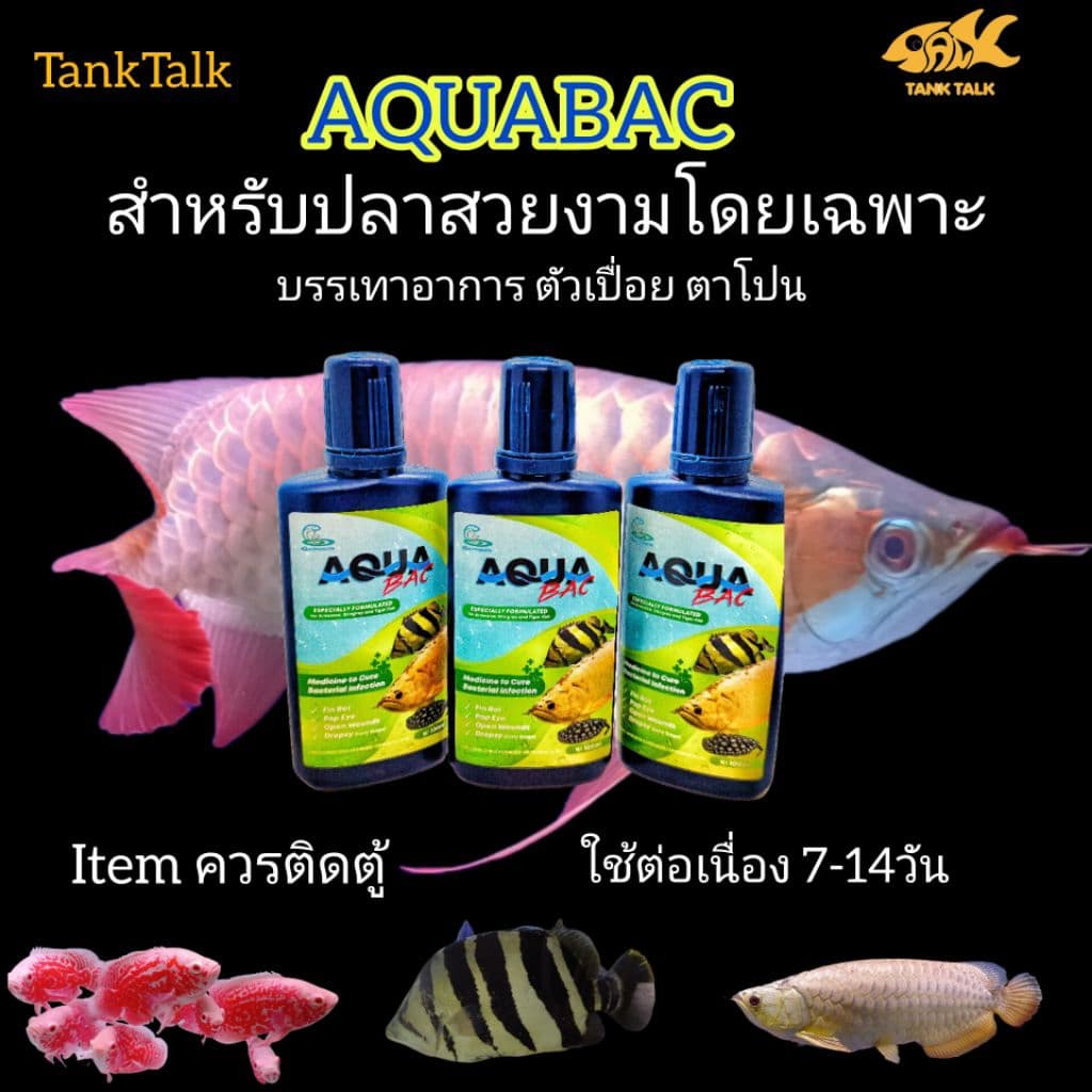 Aqua Bac สารละลายดูแลปลาสวยงาม สำหรับน้ำประปา รูปที่ 5