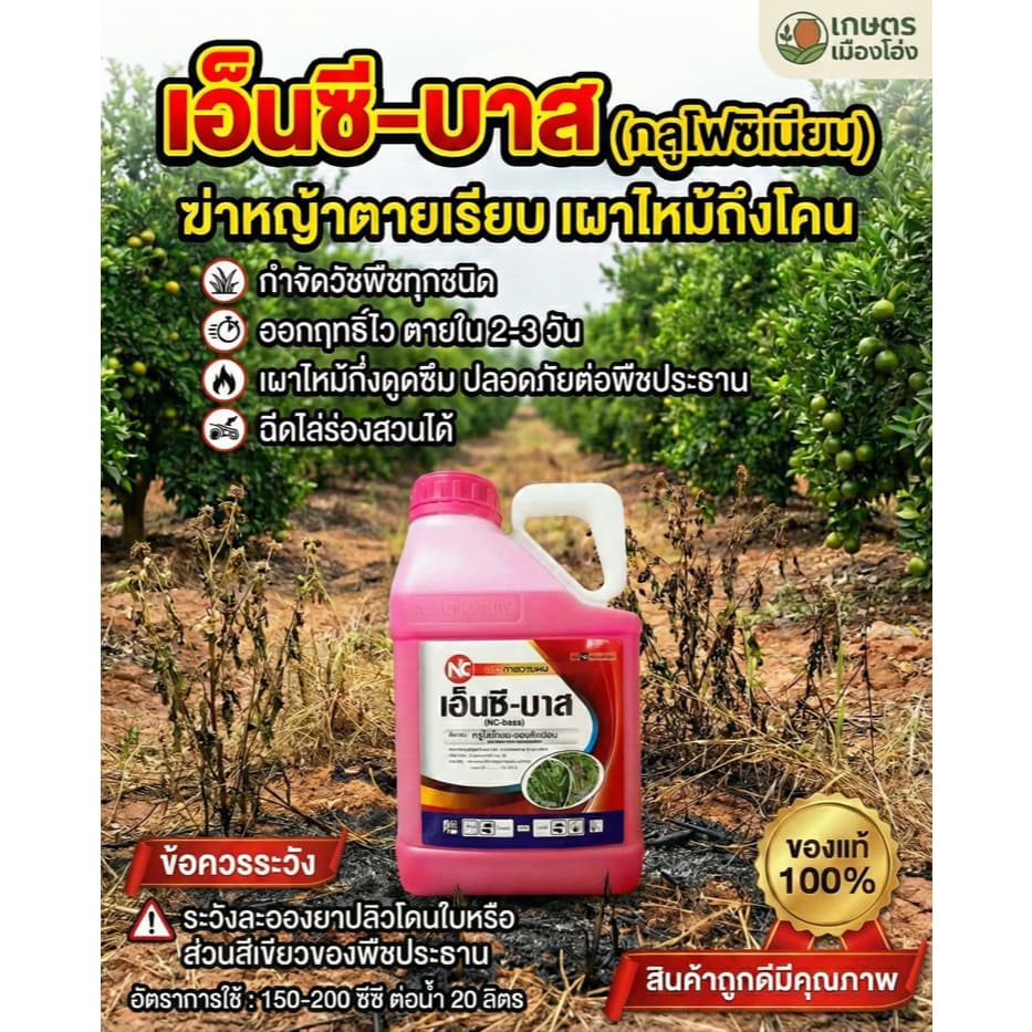 เอ็นซีบาส กลูโฟซิเนตสีชมพู 4 ลิตร กำจัดวัชพืชทั้งใบแคบ และ ใบกว้าง กำจัดวัชพืชได้ทั้งสัมผัสดูดซึม กำจัดวัชพืชปราบยาก รูปที่ 2