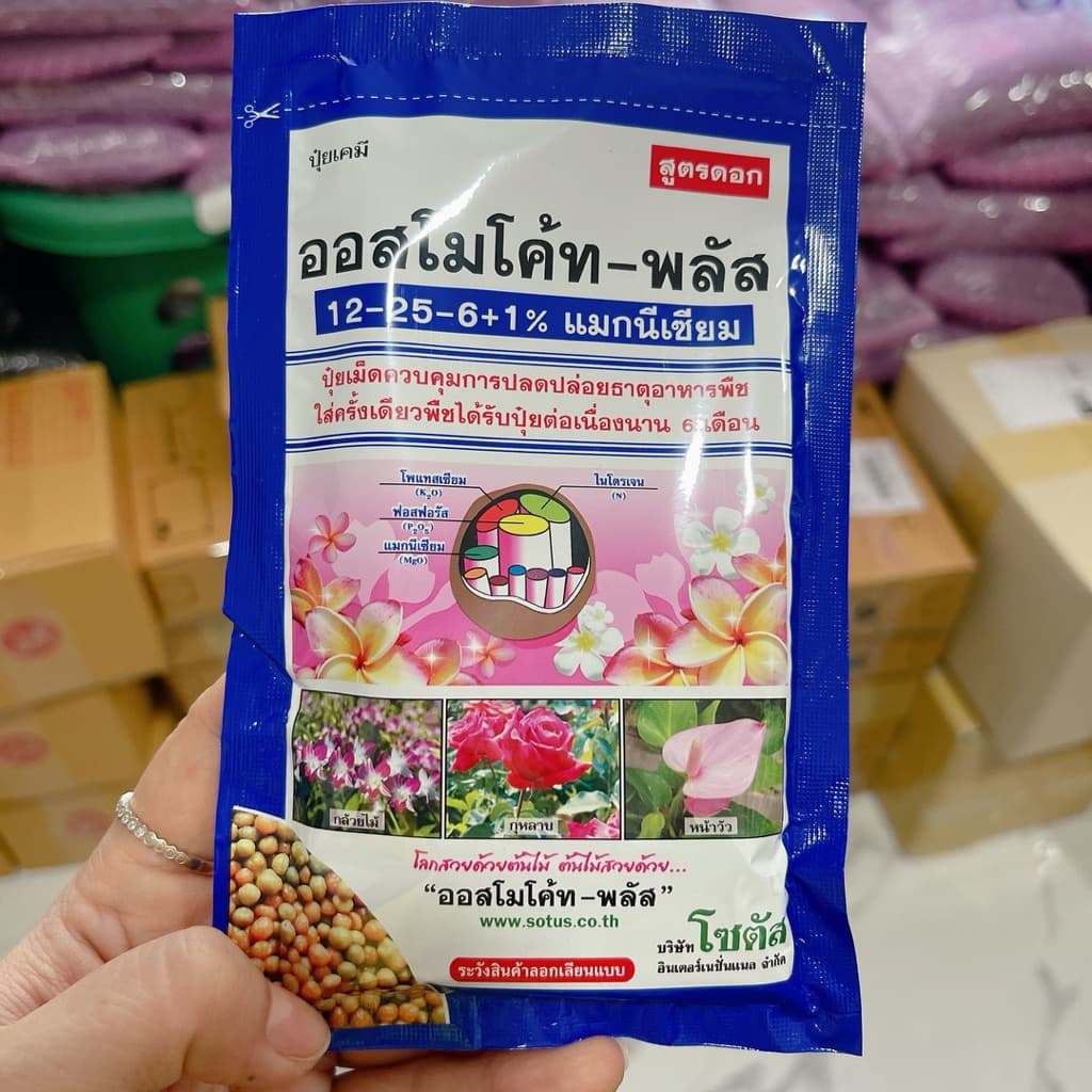 ปุ๋ยออสโมโค้ด ปุ๋ยละลายช้า 13-13-13/ปุ๋ยบำรุงดอก 12-25-6+mg1% สตาร์เกิลจี รองก้นหลุมหรือโรยรอบโคนต้น รูปที่ 2