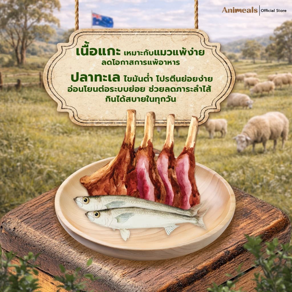 Animeals Sensitive อาหารแมว 1.2kg สูตรแมวแพ้ไก่ ผิวแพ้ง่าย ลดผื่นแดง เกาคัน รสแกะและปลาทะเล กลูเตนฟรี รูปที่ 4
