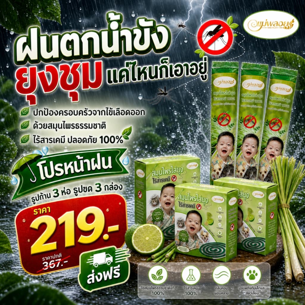 โปรหน้าฝน โปรโมชั่น 219 รูปที่ 1