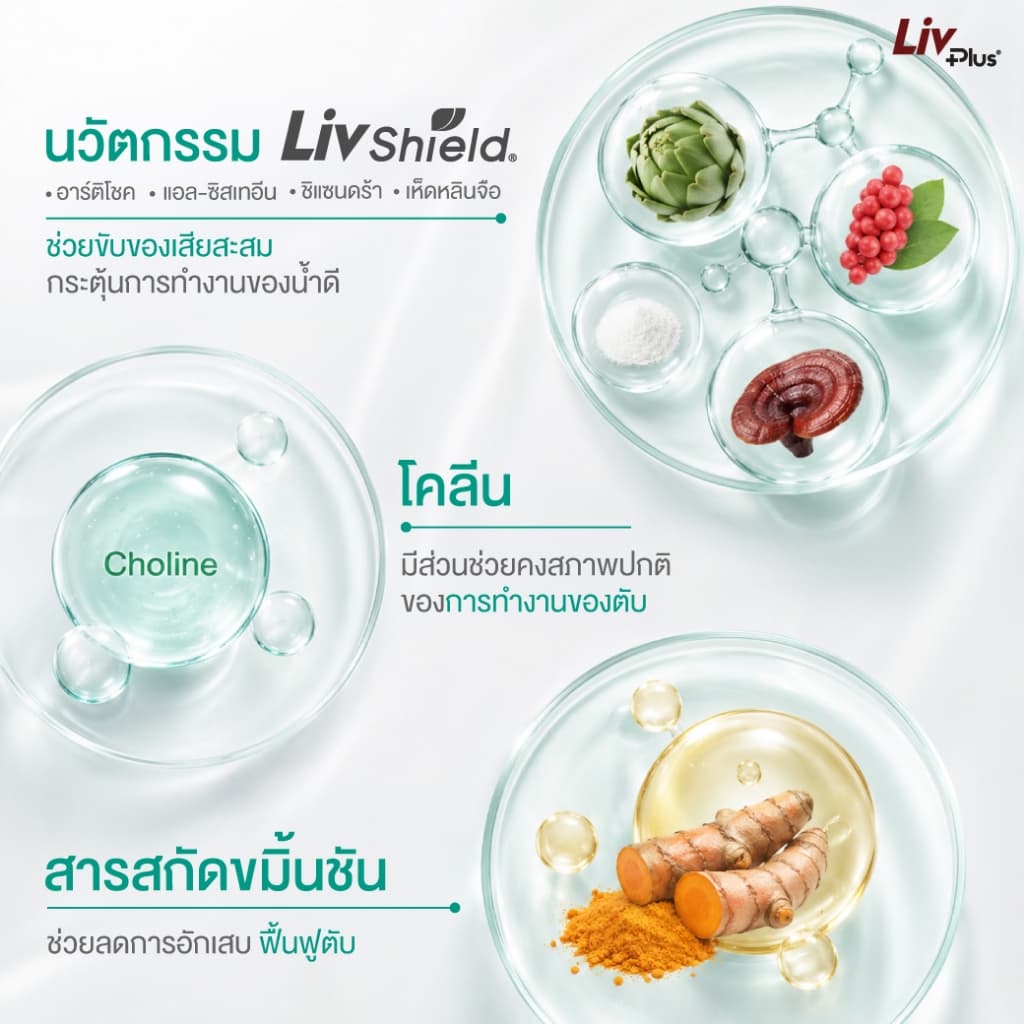 ลิฟพลัส เดลี่ Livplus Daily 1 กล่อง รูปที่ 3