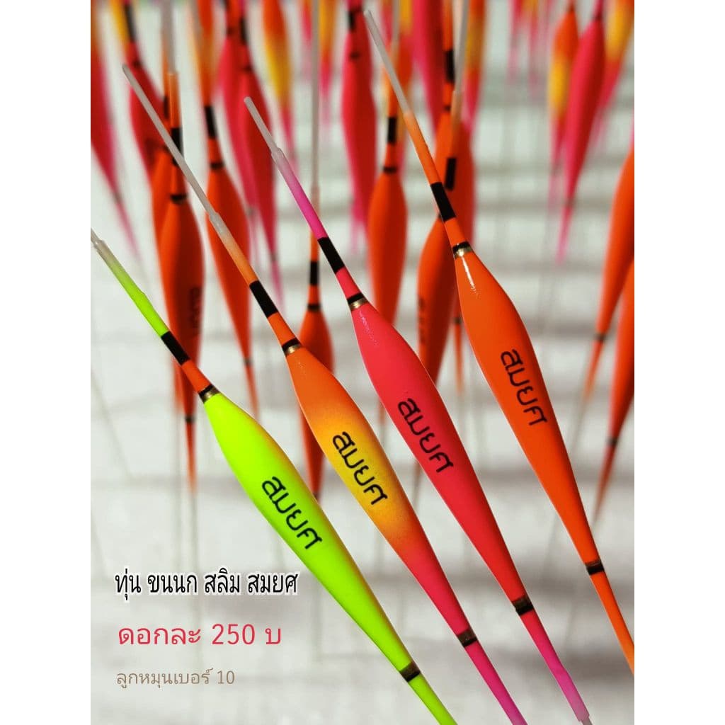 ทุ่นขนนกยูง ทุ่นเปล่า และชุดตก ทุ่นขนนก อาการนุ่มนวล รูปที่ 1