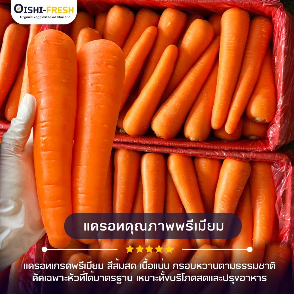 Oishi-Freshแครอท ปลอดสารพิษ 1 กก. รสชาติกรอบ สด ใหม่ ใยอาหารสูง หวานออร์แกนิค เคลมได้ 1-2 วัน รูปที่ 2