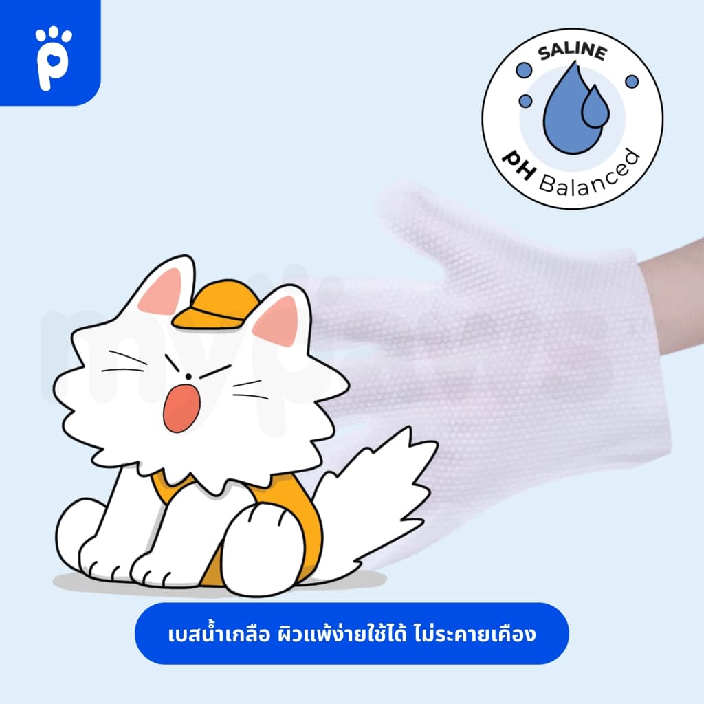 My Paws ผ้าเปียก ทิชชู่เปียก เช็ดตัวสัตว์เลี้ยง ถุงมืออาบน้ำแห้ง Pet Wipe / Glove Wipe รูปที่ 8