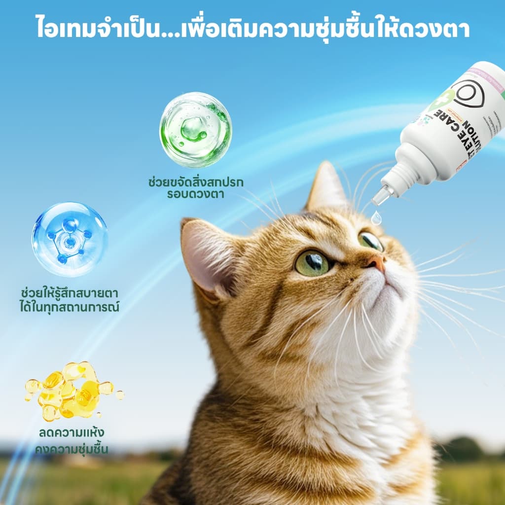 yoyopet : Pet Eye Care Solution น้ำยาทำความสะอาดตา สุนัขและแมว เติมความชุ่มชื้น อ่อนโยน 30ml รูปที่ 6