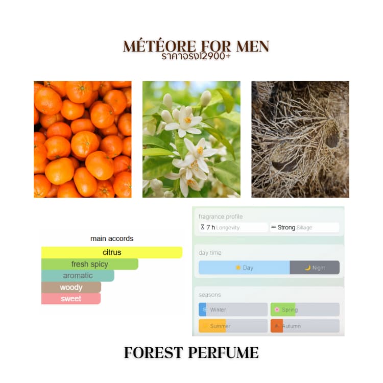 น้ำหอม FOREST- Inspired by Meteore for men - ขนาด 50ML รูปที่ 3