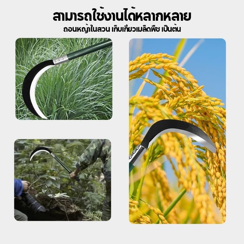 เคียวด้ามยาวน้ำหนักเบา อเนกประสงค์ ใช้สำหรับ ตัดไม้ ตัดหญ้า สวนกล้วย เคียวเกียวหญ้า มีดแมงกานีส รุ่นหนาแบบยาวด้ามเขียว รูปที่ 3