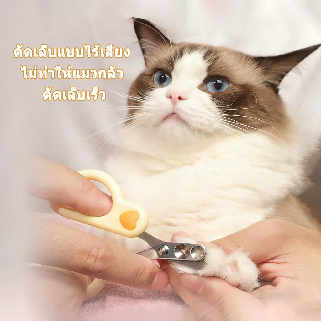 กรรไกรตัดเล็บ แมว กรรไกรตัดเล็บสุนัข ที่ตัดเล็บแมว สุนัขเล็ก ใช้ง่ายแม้มือใหม่ ใบมีดสแตนเลสทนทาน ใช้งานง่าย กรรไกรตัด รูปที่ 2