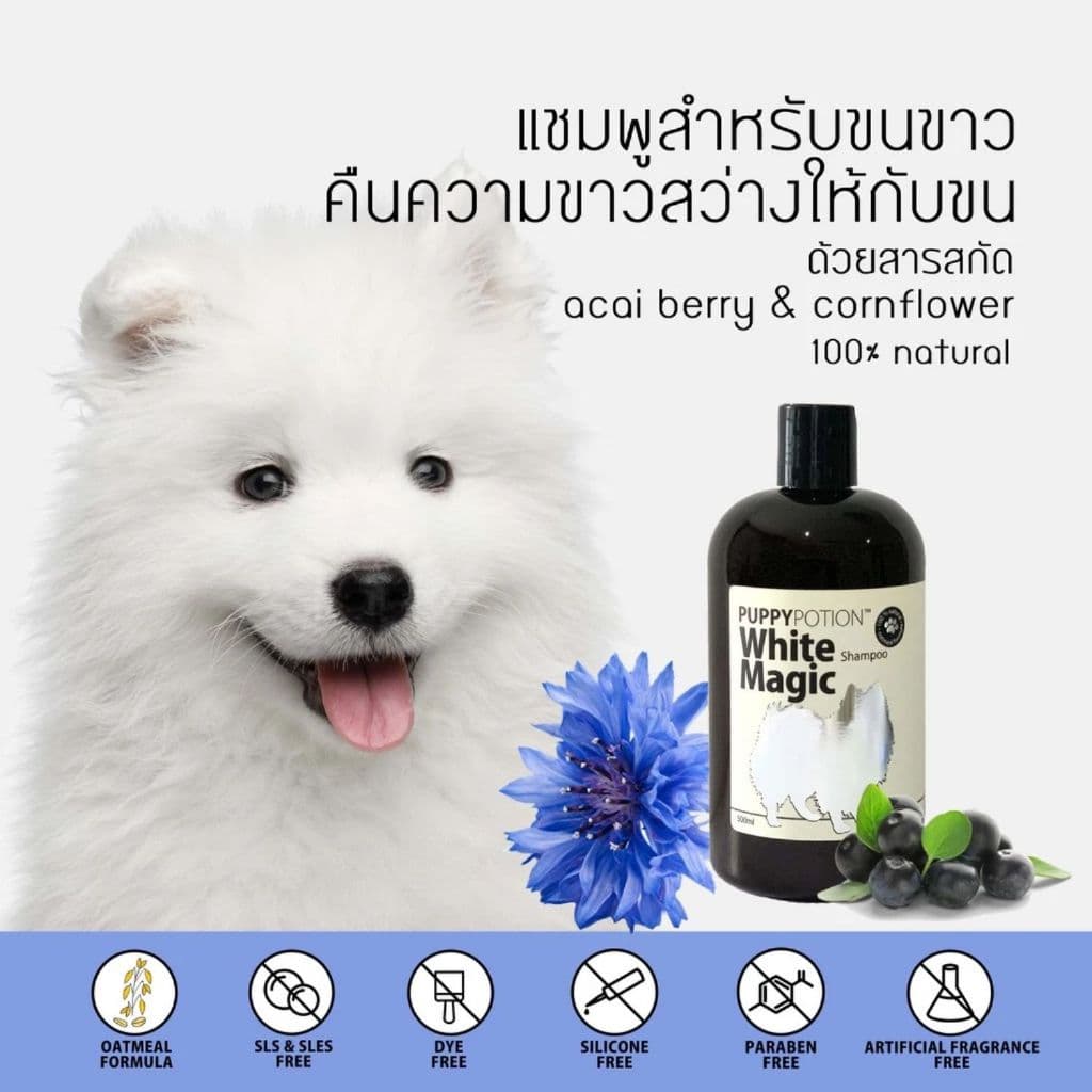Doggy Potion / Puppy Potion Shampoo แชมพู อาบน้ำสำหรับลูกสุนัข สุนัขโต สุนัขขนขาว 500ml รูปที่ 6