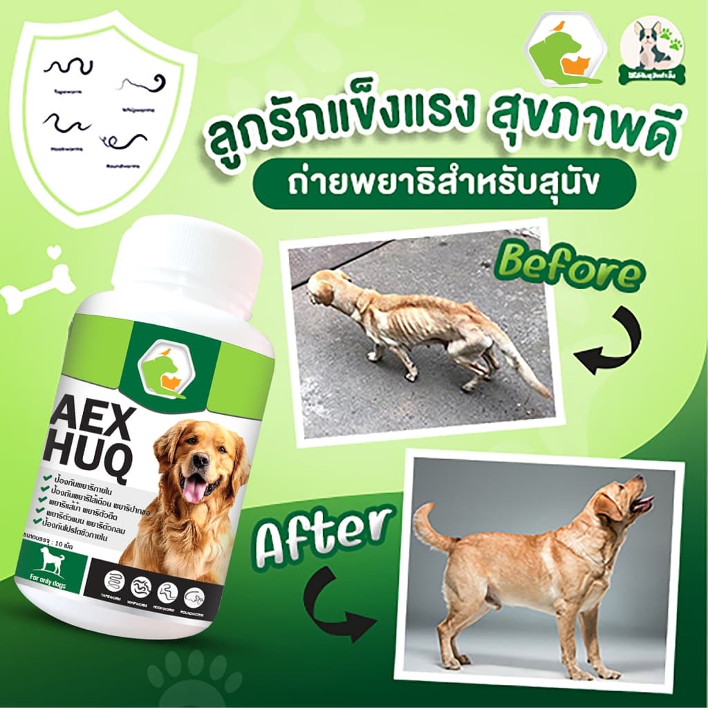AEXHUQ เสริมอาหารสัตว์เลี้ยง สร้างภูมิคุ้มกัน ต่อต้าน ปรสิต พยาธิสุนัข ไข่ปริสิต สูตรสำหรับสุนัข รูปที่ 3