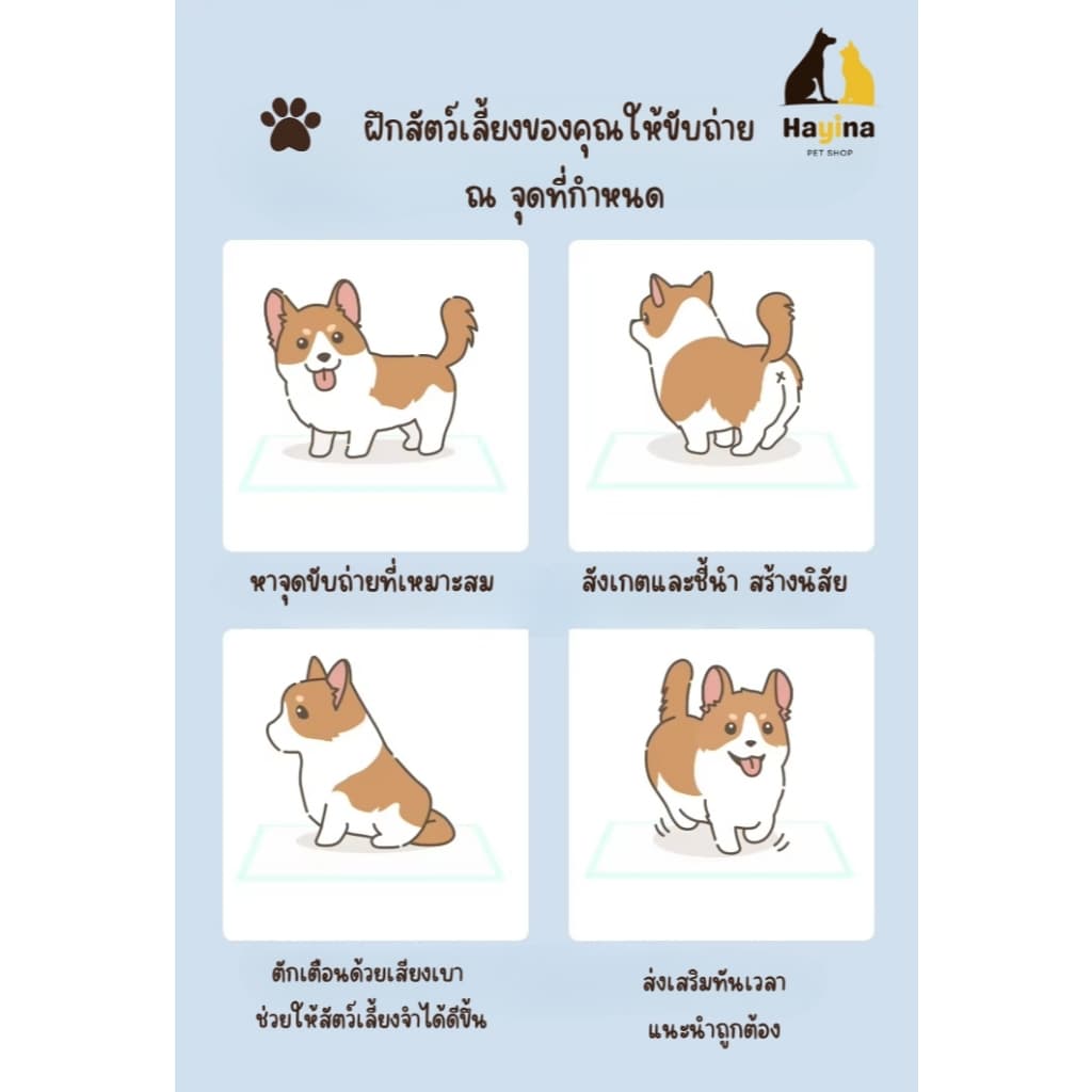 แผ่นรองซับ แผ่นรองฉี่ สำหรับสัตว์เลี้ยง ซึมซับได้ดี ปกป้องได้ 6 ชั้น ลดกลิ่น รูปที่ 8
