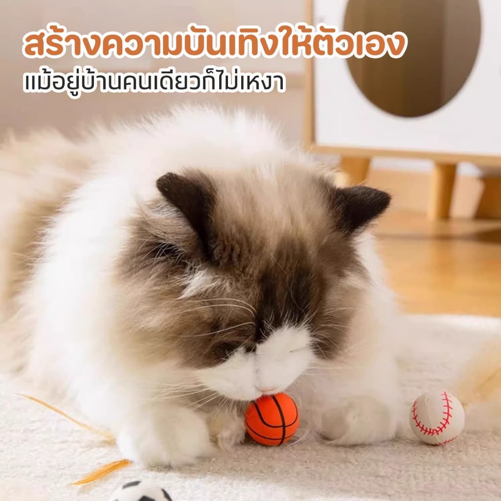 TUBI "เบื่อของเล่นธรรมดาๆ ไหม?"เปิดประสบการณ์ใหม่กับของเล่นแมวขนนก ที่มาพร้อมกับการกระตุ้นสัญชาตญาณแมวแบบสุด ๆ รูปที่ 3