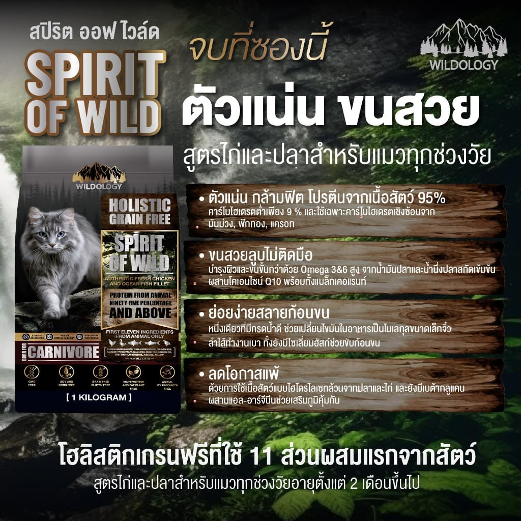 อาหารแมวแบบเม็ดโฮลิสติกเกรนฟรี ไวลด์โอโลจี สำหรับแมวทุกช่วงวัย 1 KG รูปที่ 3
