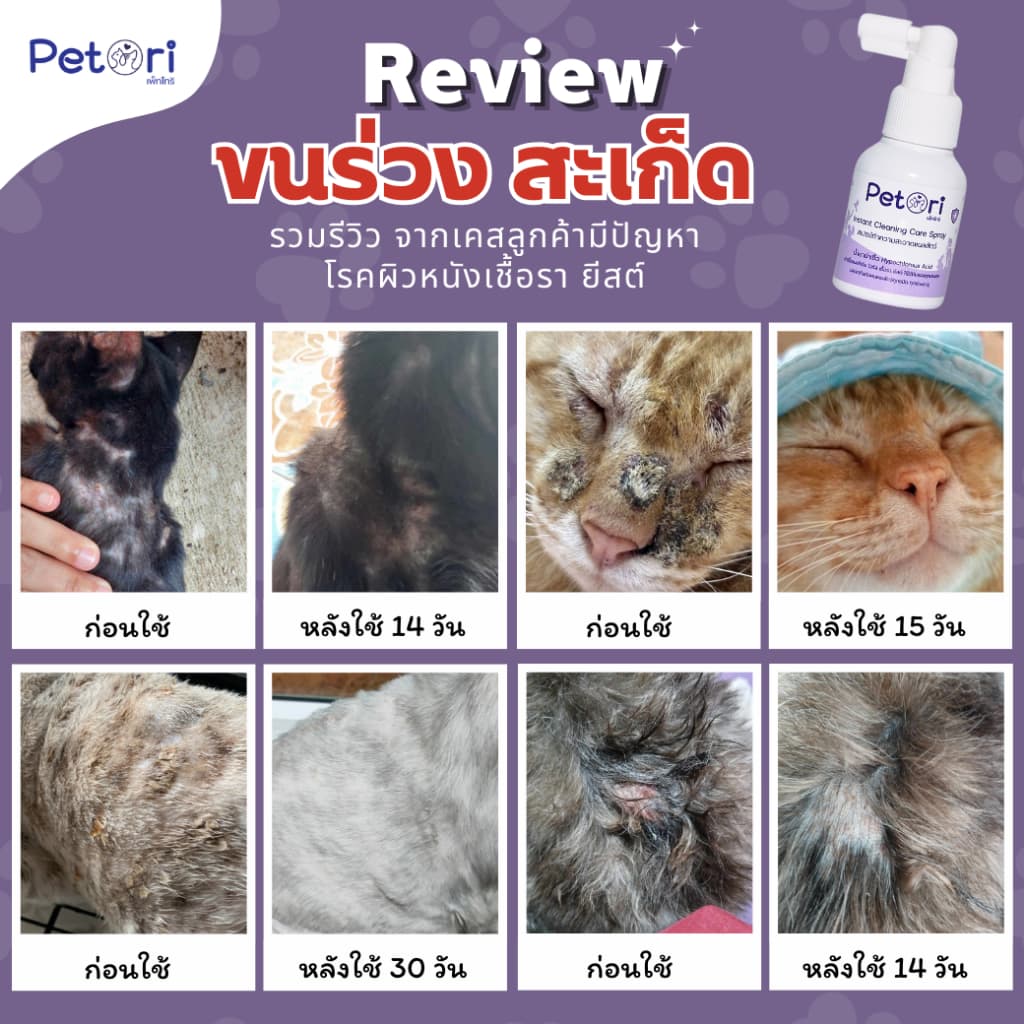 ใช้ดีแผลแห้งเร็ว Petori 50 ml สเปรย์พ่นแผลสด แผลหนอง เชื้อรา ผื่นแดง คันเกา หมาแมวกระต่าย Exotic Pet รูปที่ 5