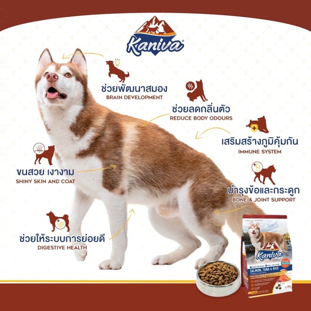 Kaniva Dog Food อาหารสุนัข ขนาด 8 - 12 KG. สำหรับสุนัข 4 เดือนขึ้นไป รูปที่ 3