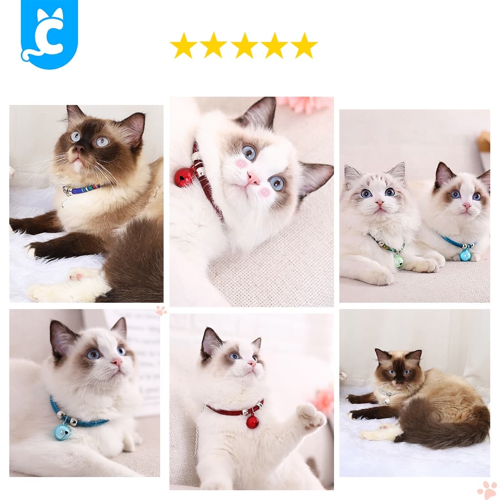 Cleverpet ปลอกคอแมวแฟชั่น พร้อมกระดิ่ง มี 5 สี Cat Collar รูปที่ 5