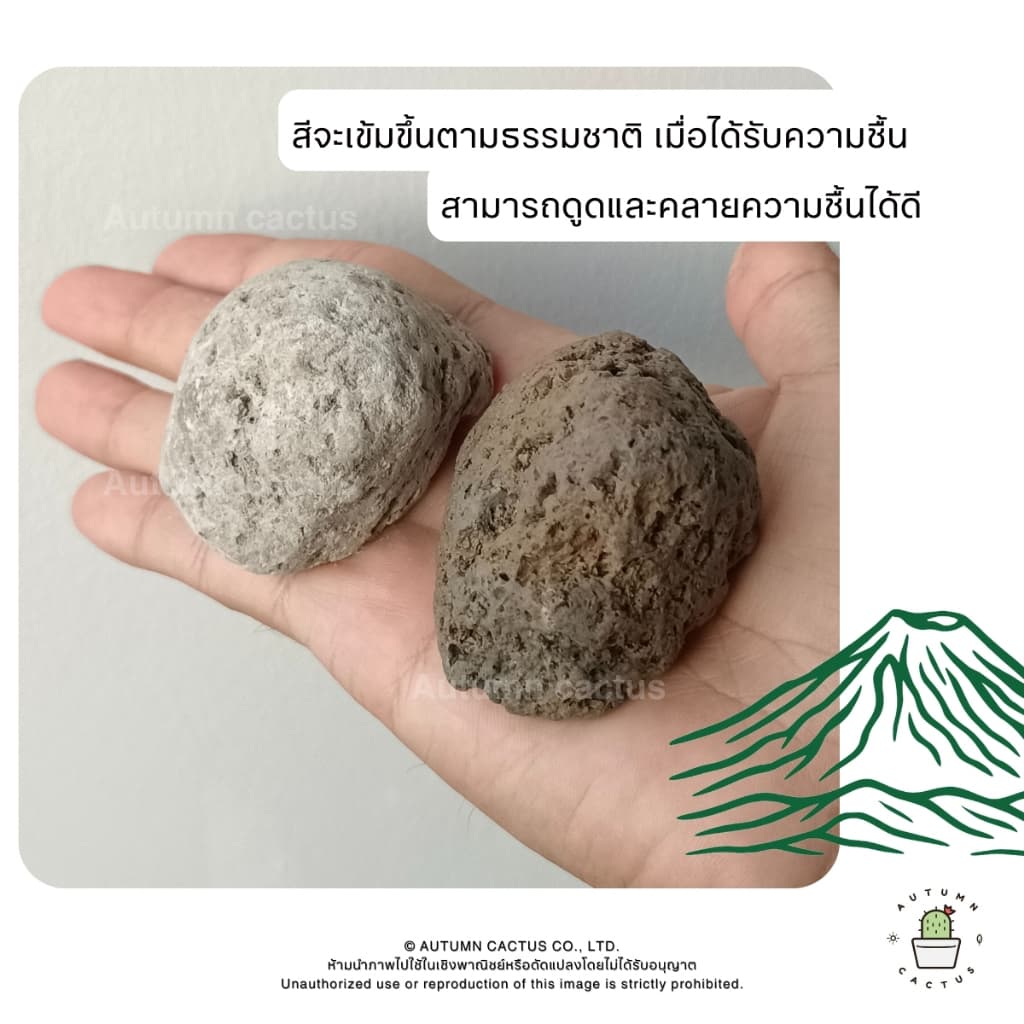หินภูเขาไฟ Pumice Stone รองก้นกระถาง ผสมดินปลูก หินทำถุงหอม ถุงใหญ่ ขนาด 4ลิตร เบอร์00 เบอร์01 เบอร์02 XL - XXL รูปที่ 5