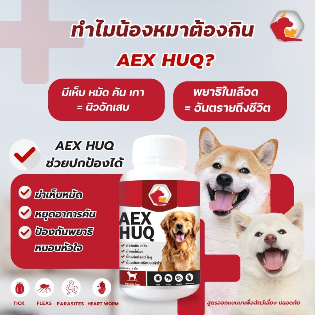 Aexhuq เสริมอาหาร ป้องกันเห็บ หมัด ไร ลดคัน ขนร่วง สูตรสำหรับสุนัข รูปที่ 3