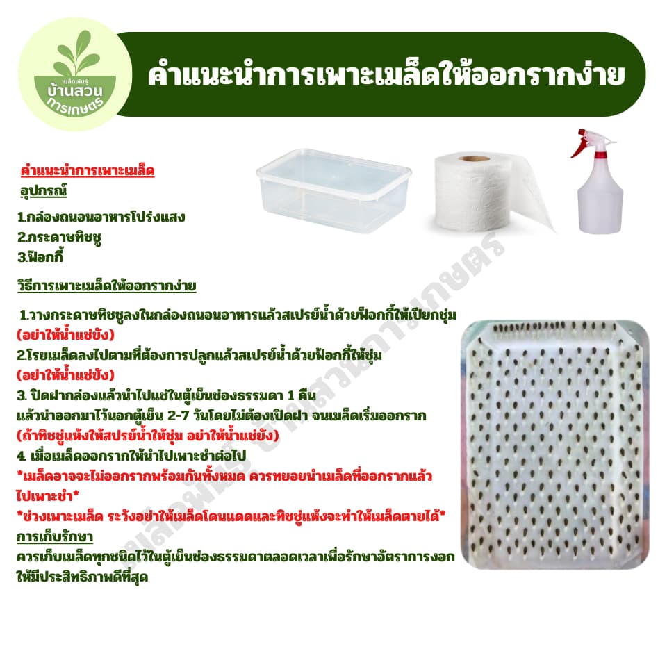 เมล็ดพันธุ์กุยช่าย จำนวน 200 เมล็ด รูปที่ 5