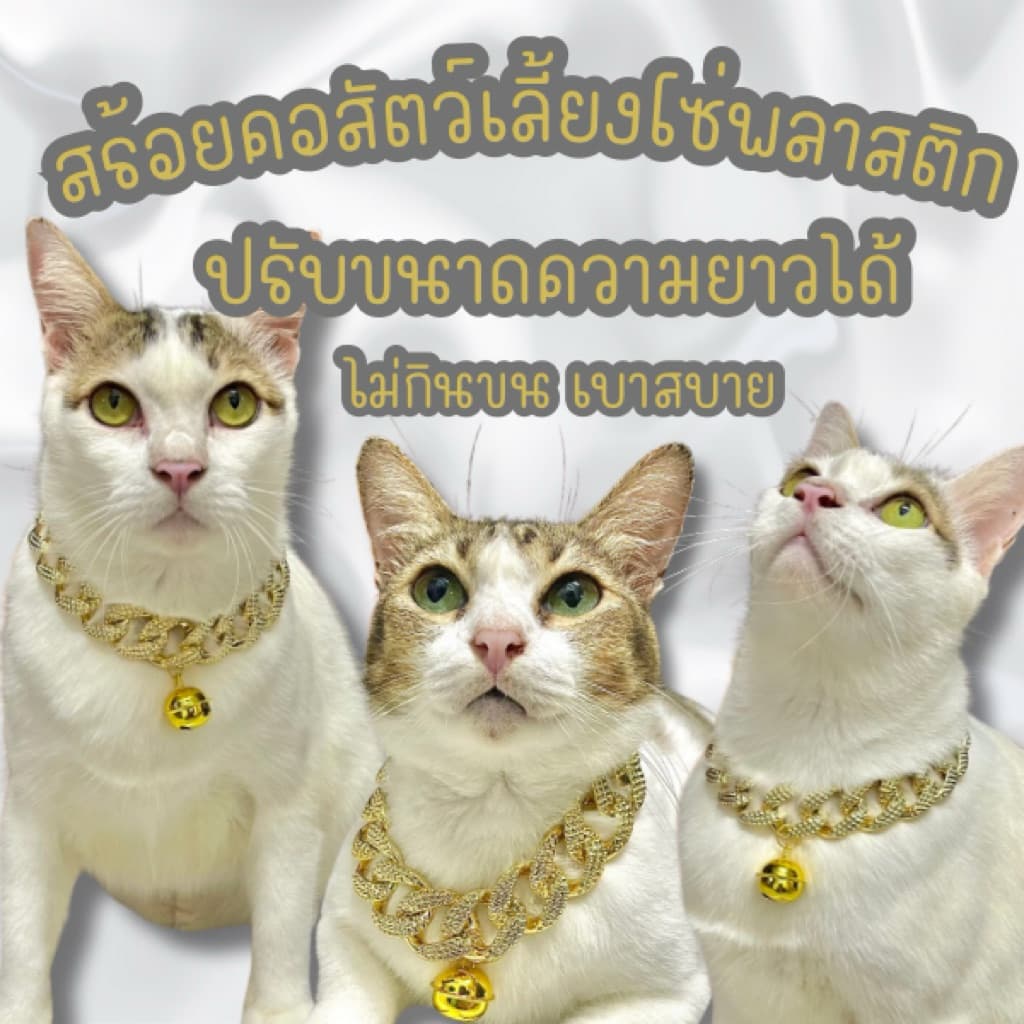 ปลอกคอสัตว์เลี้ยงหมาแมว ซื้อ3แถม1 โซ่พลาสติก น้ำหนักเบา ปรับขนาดความยาวได้ตามรอบคอ รูปที่ 6