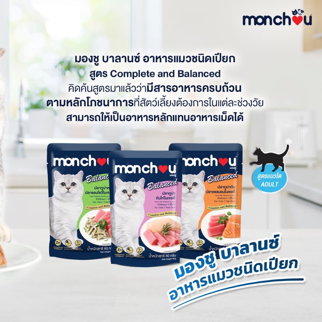 monchou Balanced อาหารเปียกแมว สูตร Balanced ไม่เติมเกลือ 80กรัม รูปที่ 3