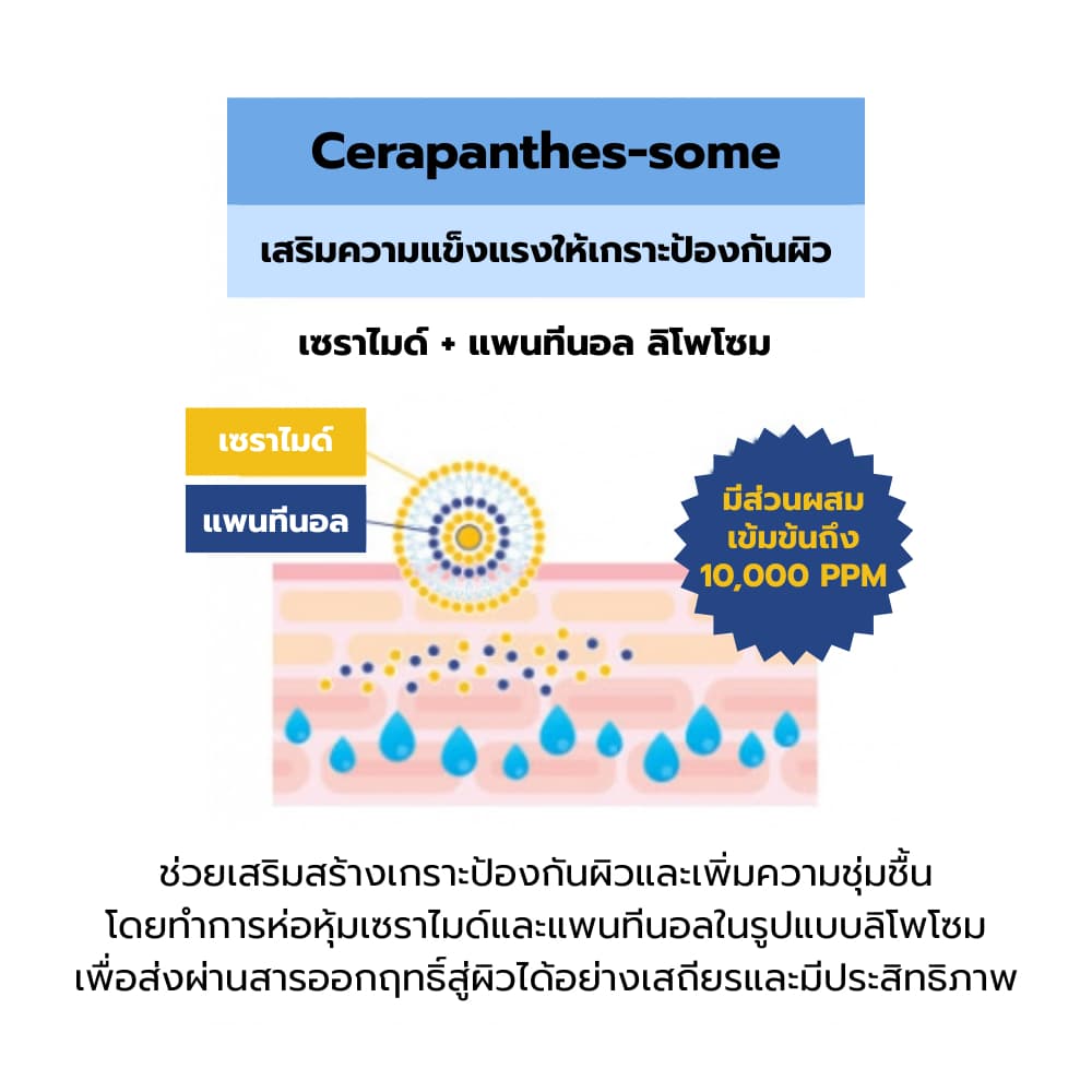 Derma: B CeraMD Repair Lotion 400ml รูปที่ 3