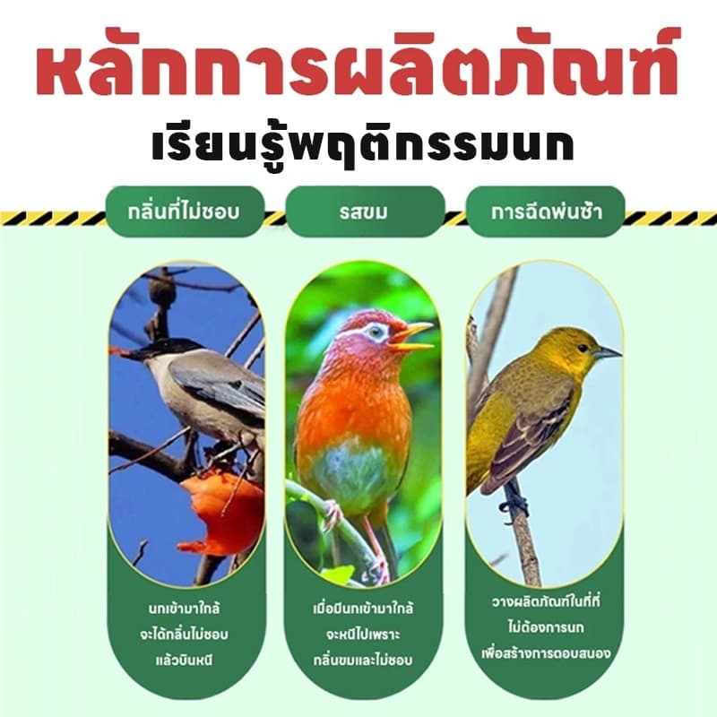 ไล่นกแรง เห็นผลทันที! เม็ดไล่นก กันนก ยาไล่นก ไล่นกกระจอก ไล่นกพิราบ ปลอดภัย ไร้สารพิษ รูปที่ 5