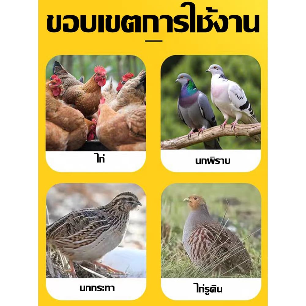 ส่งตรงจากกรุงเทพฯ Hardware Tools MALL ถ้วยให้น้ำไก่อัตโนมัติ 8มม. ใช้กับไก่ เป็ด ห่าน ประหยัดน้ำ ติดตั้งง่าย ล้างง่ายมาก รูปที่ 2